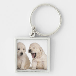 Chaveiro Filhotes de cachorro do golden retriever (4