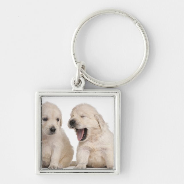 Chaveiro Filhotes de cachorro do golden retriever (4 (Frente)