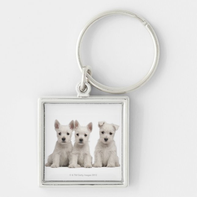 Chaveiro Filhotes de cachorro ocidentais de Terrier das (Frente)
