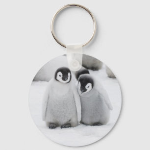 Chaveiro Filhotes de Pinguim Imperador no Gelo na Antártida