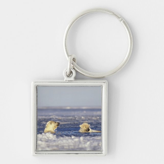 Chaveiro Filhotes de urso polar brincando (Frente)
