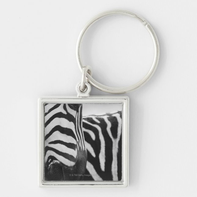 Chaveiro Fim-acima da cara e do ombro da zebra (Frente)