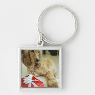 Chaveiro Fim-acima de um cão com um presente