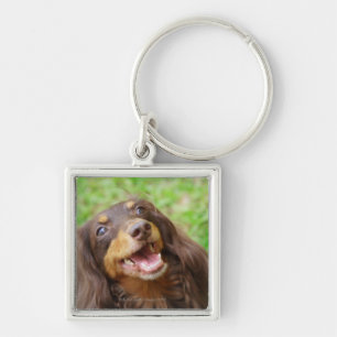 Chaveiro Fim-acima de um cão do Dachshund