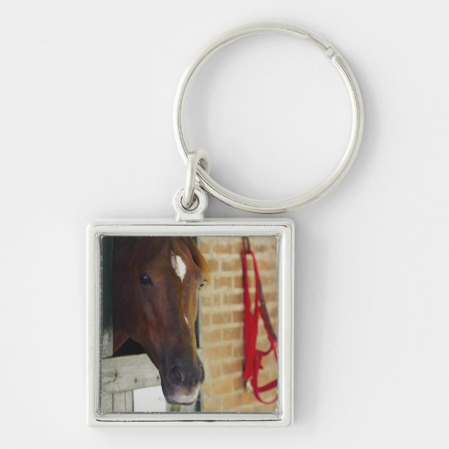 Chaveiro Fim-acima de um cavalo 3 (Frente)