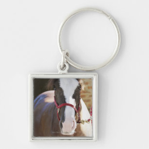 Chaveiro Fim-acima de um cavalo amarrado em um estábulo