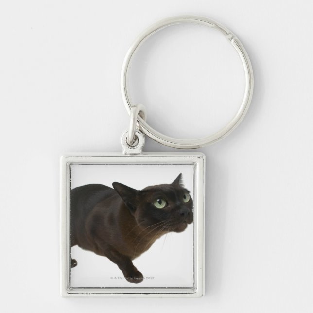 Chaveiro Fim-acima de um gato 2 (Frente)