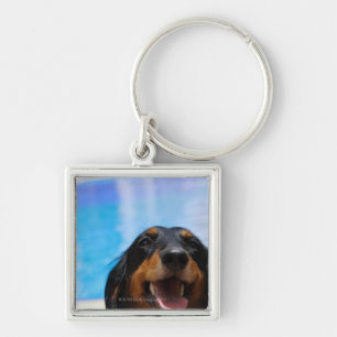 Chaveiro Fim-acima de uma ânsia do cão do Dachshund