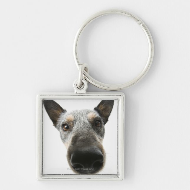 Chaveiro Fim-acima de uma cabeça de cão (Frente)