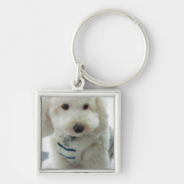 Chaveiro Fim-acima de uma caniche diminuta (Frente)