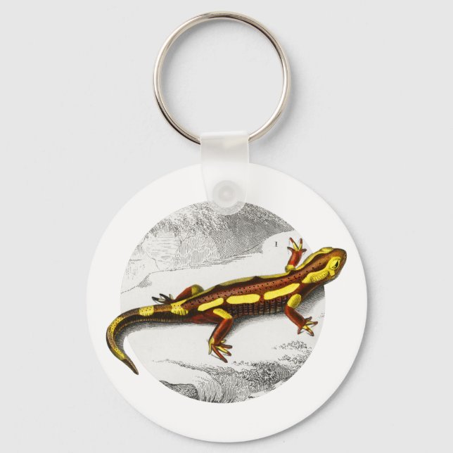 Chaveiro Fire Salamander (Frente)