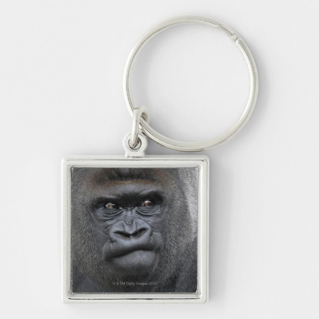 Chaveiro Flachlandgorilla, gorila do gorila, (Frente)