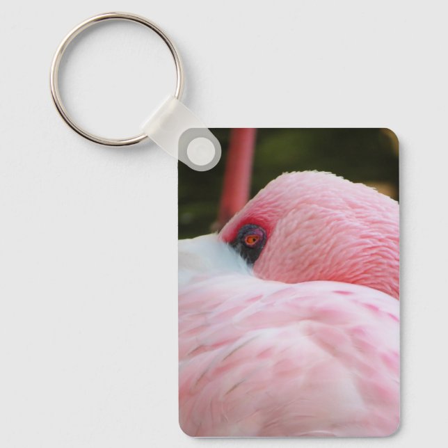 Chaveiro Flamingo (Frente)