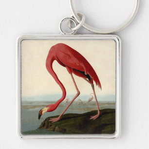 Chaveiro Flamingo do americano de Audubon