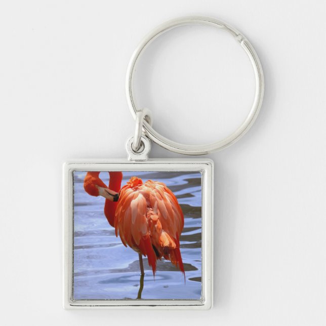 Chaveiro Flamingo em uma perna na água (Frente)