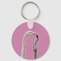 Flamingo Mãe E Bebê