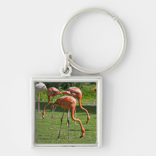 Chaveiro Flamingos (Frente)