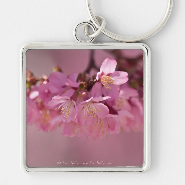Chaveiro Flor de Cerejeira Fonte Termal  2012 Roupas  & Pre (Frente)