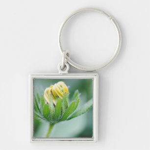 Chaveiro Flor de Cone Aberta