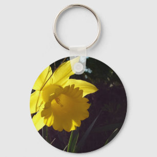 Chaveiro flor de daffodil amarelo à luz do sol