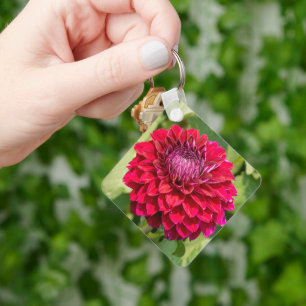 Chaveiro Flor de Dália, Florada Carmesim Vibrante
