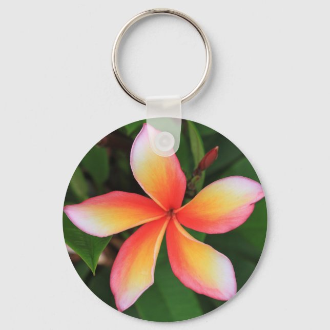 Chaveiro Flor Frangipani (Frente)