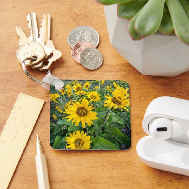 Chaveiro Flores | Balsomroot Columbia River, Oregon (Mesa)