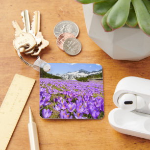 Chaveiro Flores Crocus Pirin Mountain Park Bulgária