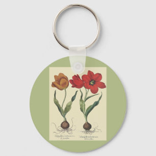 Chaveiro Flores da tulipa da Botânica, da florescência do
