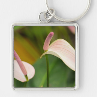 Chaveiro Flores de Anthurium Rosa Kauai Hawaii