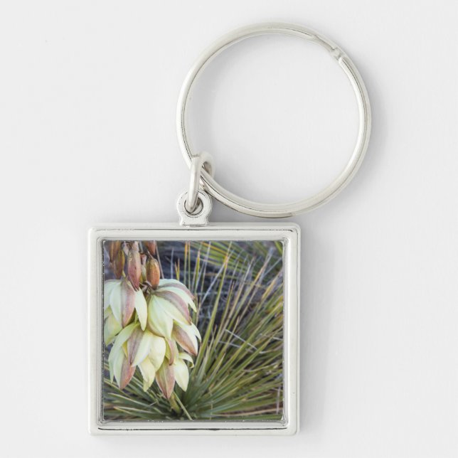 Chaveiro Flores de Soaptree Yucca no Upper Missouri (Frente)