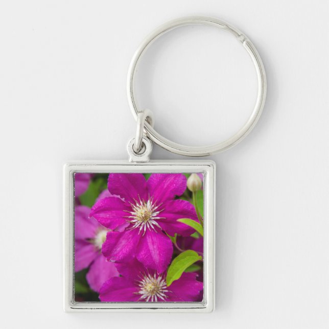Chaveiro Flores no Robinette's Apple Haus e Gift Barn 2 (Frente)