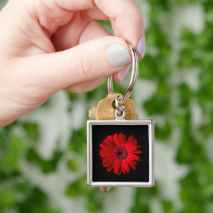 Chaveiro Flores   Red Gerbera Daisy