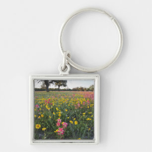 Chaveiro Flores silvestres à beira da estrada no Texas, pri