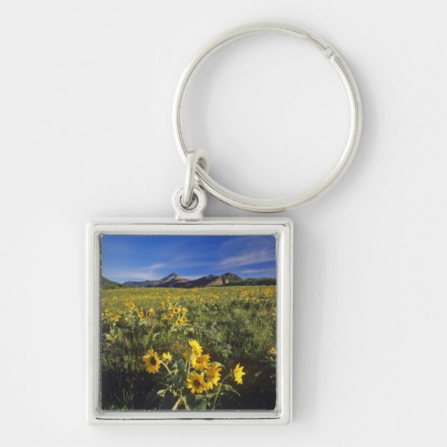 Chaveiro Flores silvestres de balsomroot de folha de seta e (Frente)