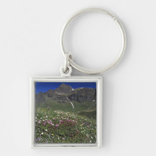Chaveiro Flores silvestres, florescendo, Alpes, Suíça