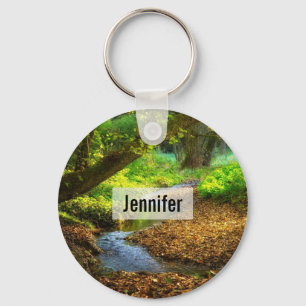 Chaveiro Floresta Creek Belo Paisagem Natural Foto