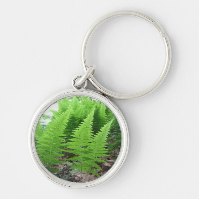 Chaveiro Floresta da samambaia - Keyring/ (Frente)