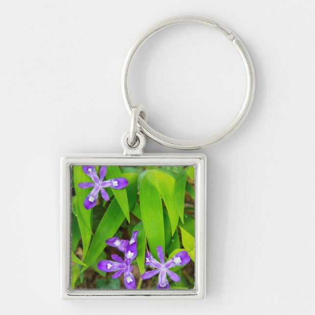 Chaveiro Floresta intocada Joyce Kilmer-Slickrock 2 (Frente)