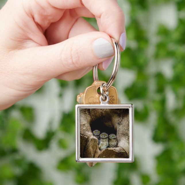 Chaveiro Florestas | Três Corujas (Mão)