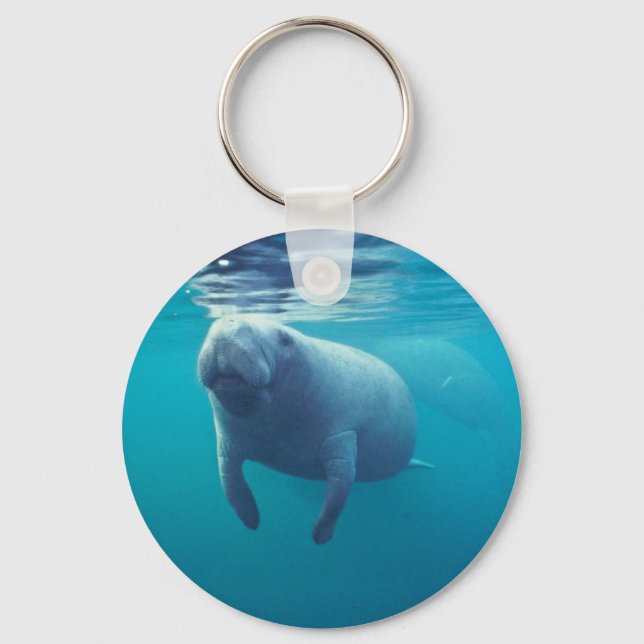 Chaveiro Florida Manatee (Frente)