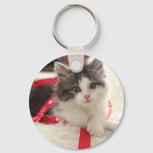 Chaveiro Flossie o gatinho