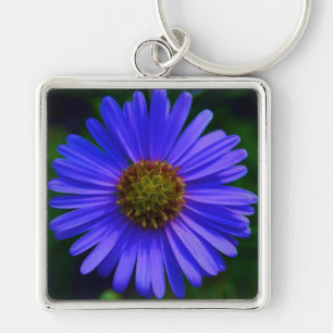 CHAVEIRO FLOWER ASTER