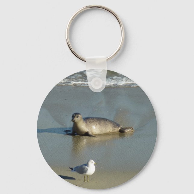 Chaveiro Foca-comum em La Jolla Califórnia (Frente)