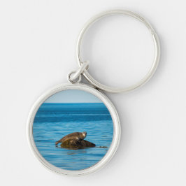 Chaveiro Foca-do-Atlântico