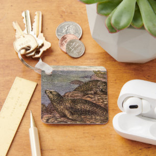 Chaveiro Focas, Animais Marinhos Antigos da Vida Oceânica