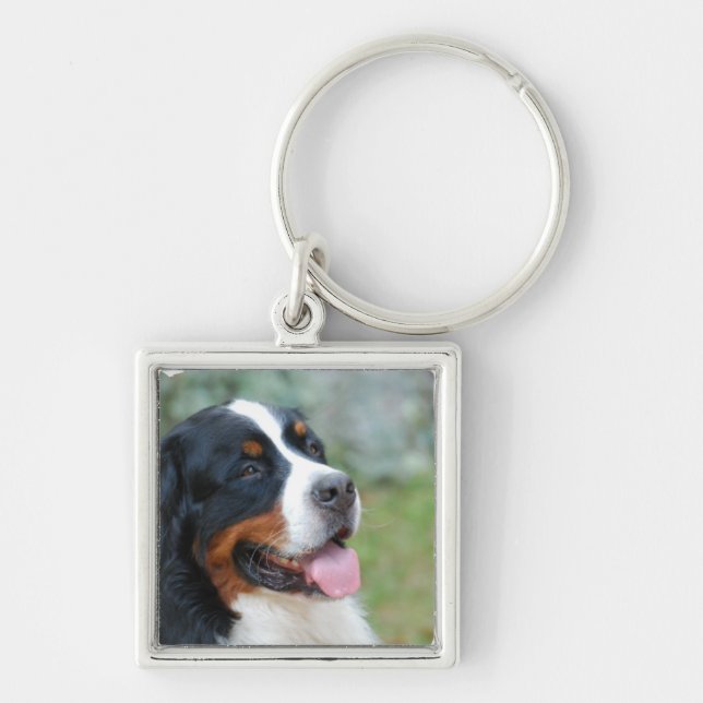 Chaveiro Fofo de Bernese (Frente)