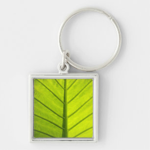 Chaveiro Folhas verdes com veias de folhagem tropical em
