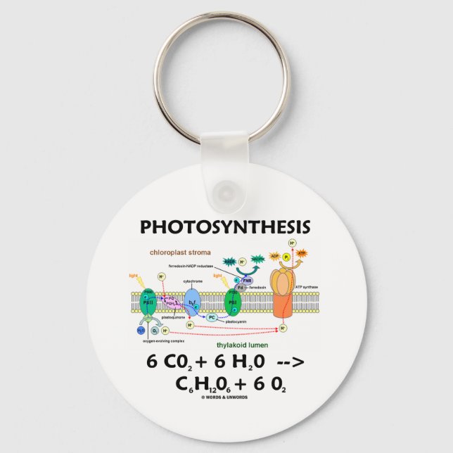 Chaveiro Fórmula de fotossíntese (química) (Frente)