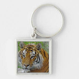 Chaveiro Foto aproximada do rosto de um tigre siberiano